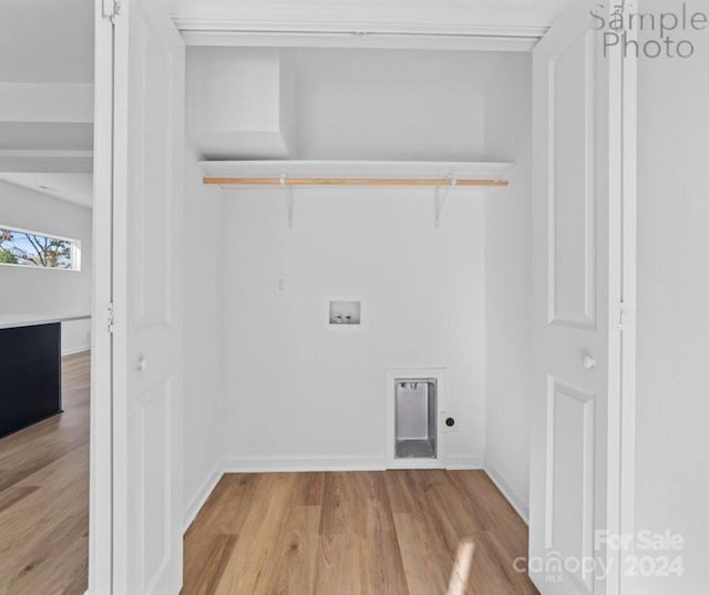 laundry room featuring electric dryer hookup, light wood-type flooring, and hookup for a washing machine