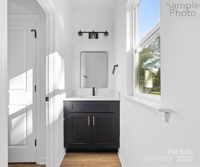 bathroom featuring plenty of natural light, vanity, and hardwood / wood-style flooring