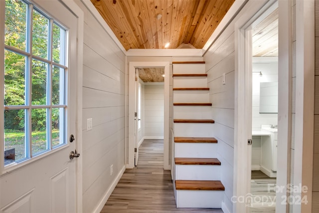 entryway featuring wood-type flooring, plenty of natural light, and wooden walls