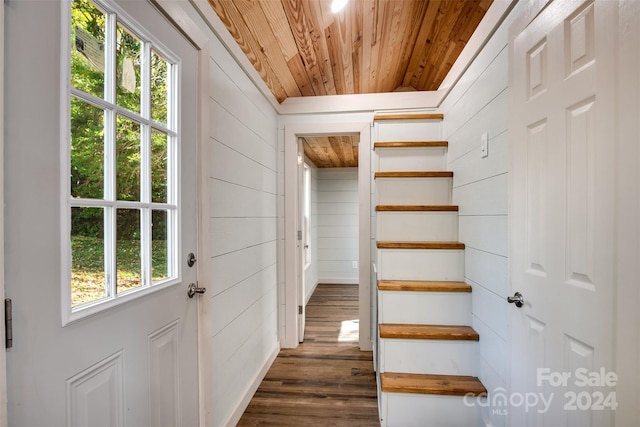 entryway featuring wood walls, dark hardwood / wood-style flooring, and wooden ceiling