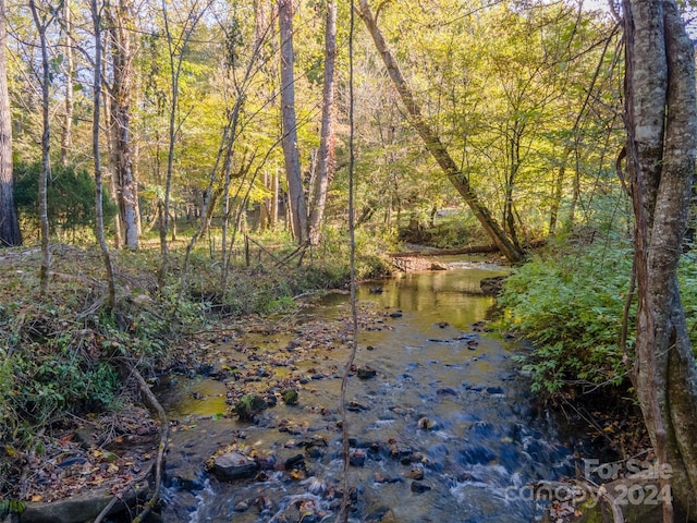 view of nature