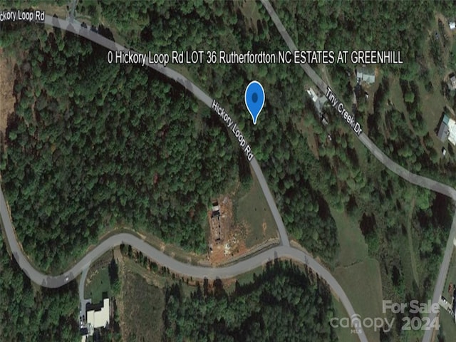 Listing photo 2 for 0 Hickory Loop Lot 36, Rutherfordton NC 28139