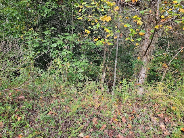 Listing photo 3 for 0 Hickory Loop Lot 36, Rutherfordton NC 28139