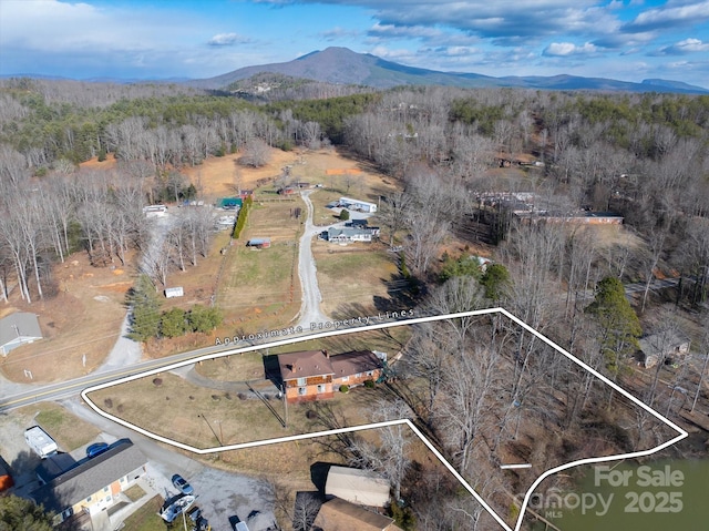 drone / aerial view with a mountain view