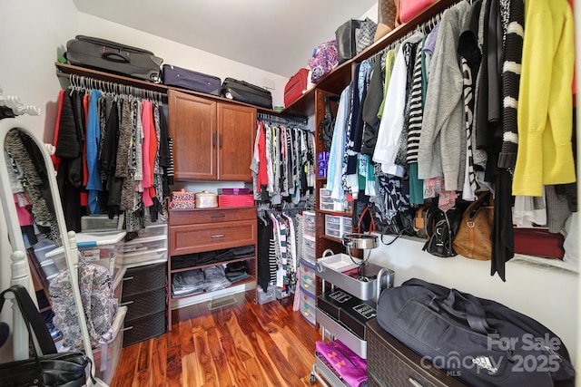 walk in closet featuring dark wood-type flooring