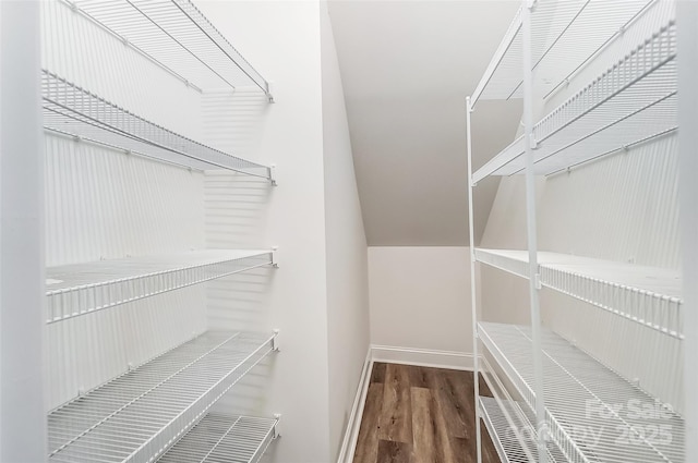 spacious closet with wood-type flooring