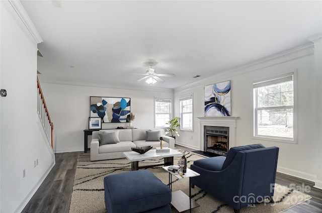 living room with dark hardwood / wood-style floors, a healthy amount of sunlight, and crown molding