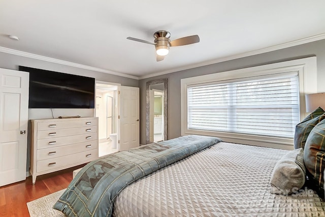 bedroom featuring ceiling fan, dark wood-type flooring, ensuite bathroom, and ornamental molding