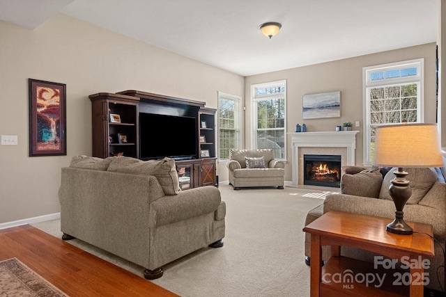 living room featuring wood-type flooring