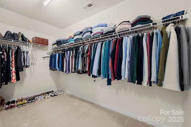 spacious closet with carpet