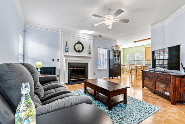 living room with ceiling fan, a fireplace, crown molding, and light wood-type flooring