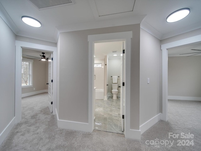 hall featuring light colored carpet and crown molding