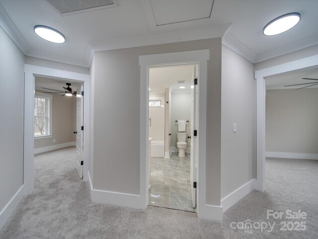 1304 Pleasant Plains Rd, Matthews, NC 28105 - hall featuring carpet and baseboards
