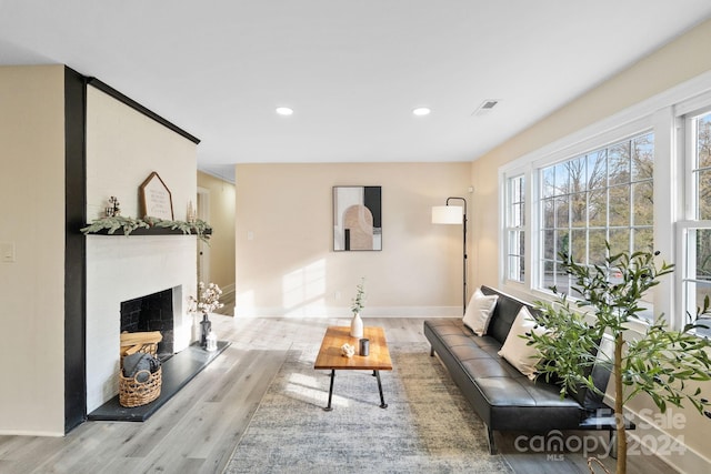 living room with wood-type flooring and a fireplace