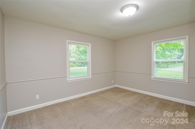 carpeted empty room featuring a wealth of natural light