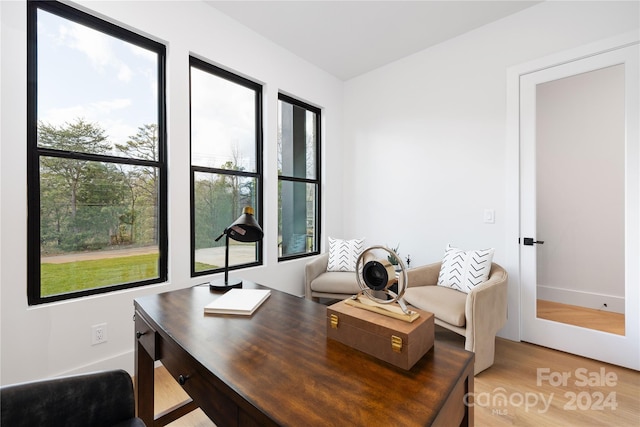 office featuring hardwood / wood-style flooring and a wealth of natural light