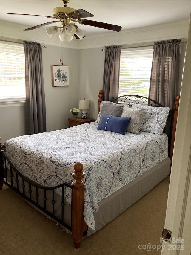 carpeted bedroom with ceiling fan, multiple windows, and ornamental molding