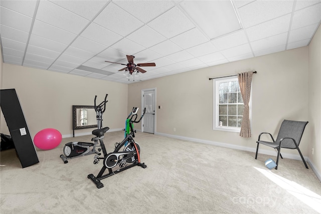 exercise area featuring a drop ceiling, ceiling fan, and light colored carpet