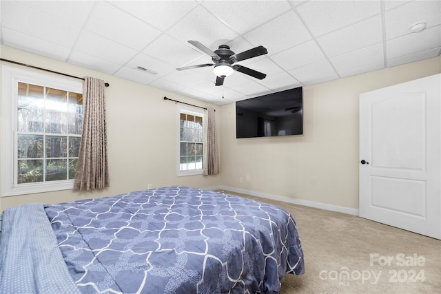 carpeted bedroom featuring a paneled ceiling and ceiling fan