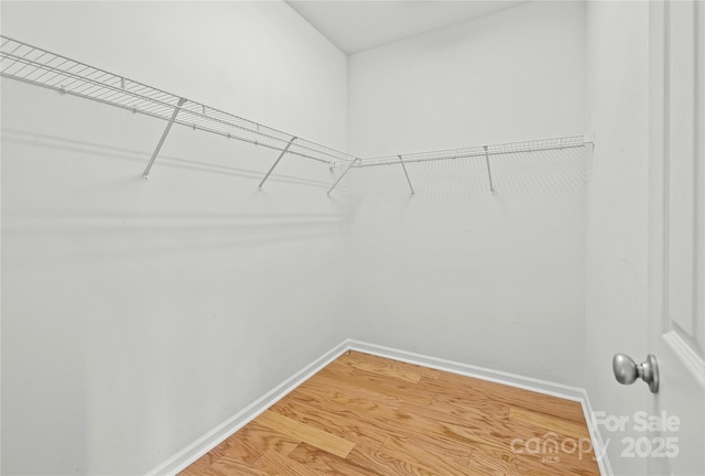 spacious closet with hardwood / wood-style floors