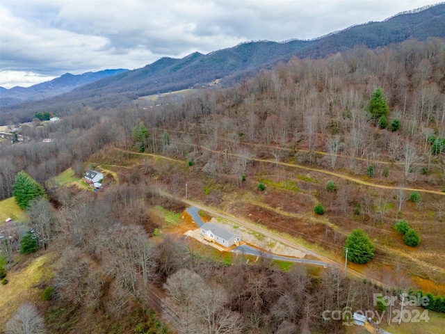 bird's eye view with a mountain view and a rural view