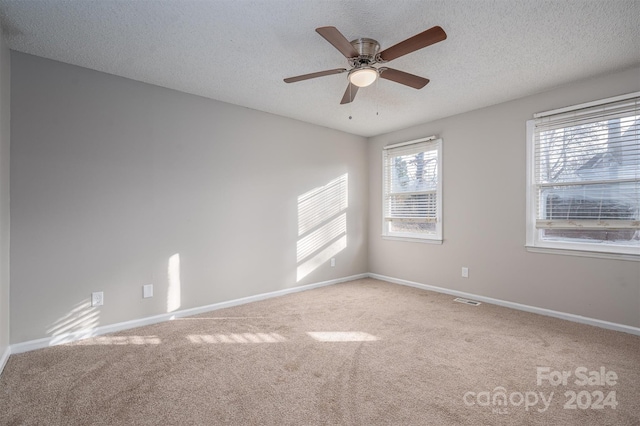 spare room featuring carpet flooring, a textured ceiling, and plenty of natural light