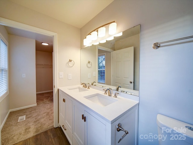 bathroom with vanity, plenty of natural light, and hardwood / wood-style flooring