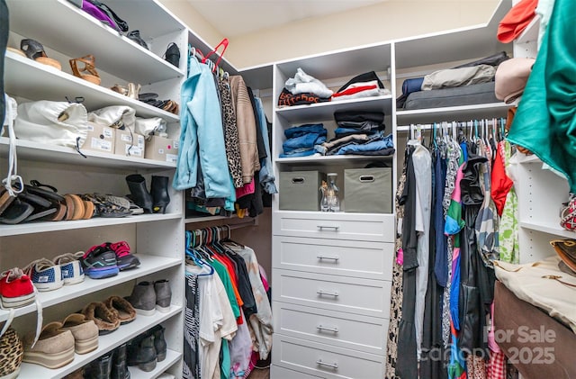 view of spacious closet