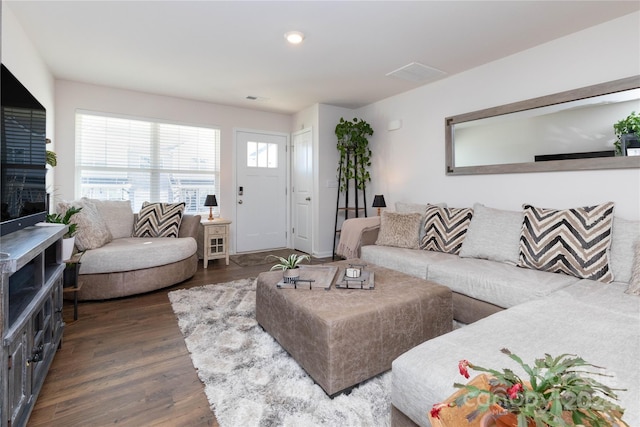 living room featuring dark hardwood / wood-style flooring