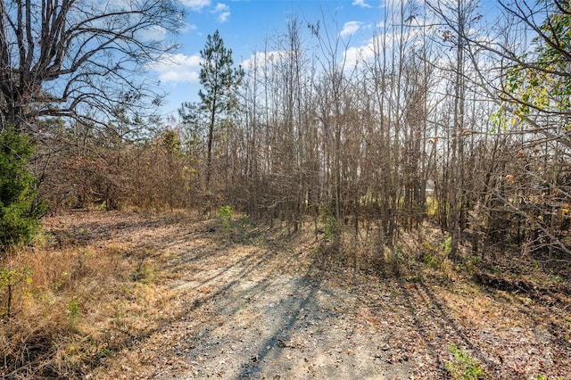 1527 Gold Hill Rd, Fort Mill, SC 29708 - photo 16