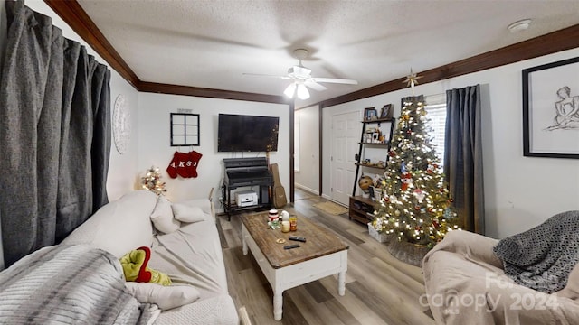 living room with ceiling fan, ornamental molding, a textured ceiling, and light wood-type flooring