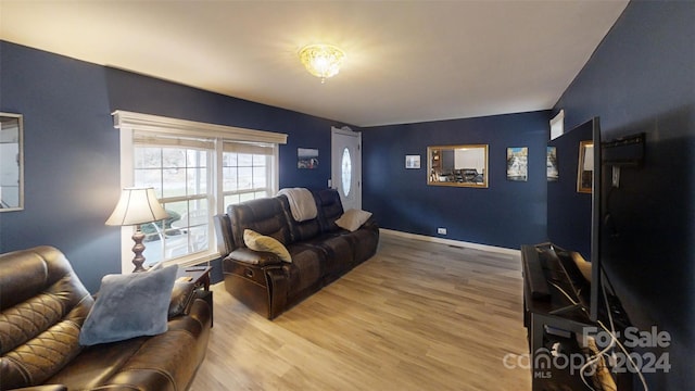 living room featuring hardwood / wood-style floors