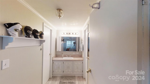 bathroom with vanity, wood-type flooring, and crown molding