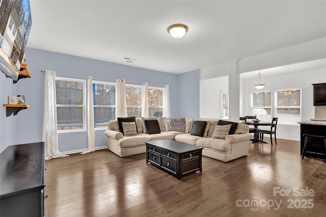 living room featuring dark wood-type flooring