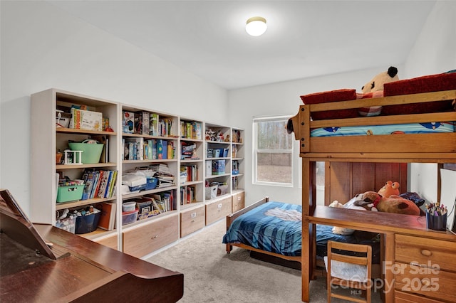 bedroom with carpet