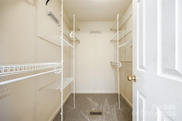 spacious closet with carpet