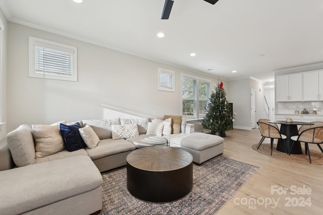 living room featuring crown molding and light hardwood / wood-style flooring