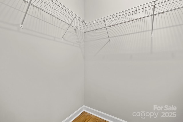 spacious closet featuring wood-type flooring