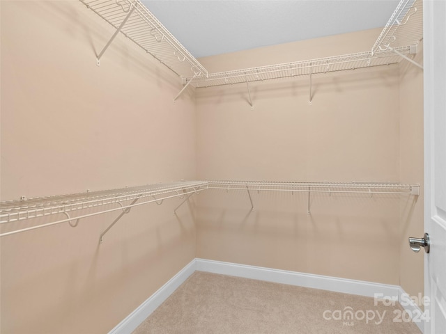 spacious closet featuring carpet flooring