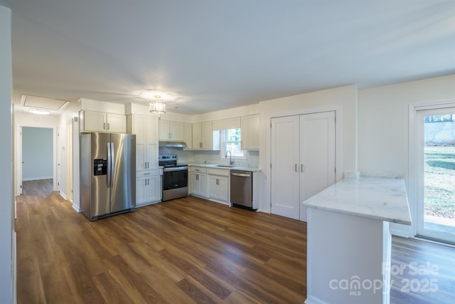 kitchen with stainless steel appliances, white cabinetry, dark hardwood / wood-style floors, and sink