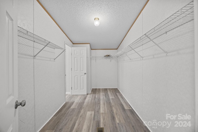 spacious closet with light wood-type flooring