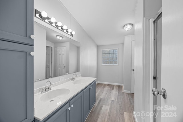 bathroom featuring vanity and wood-type flooring