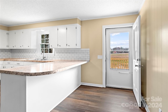 kitchen with backsplash, white cabinets, sink, a textured ceiling, and dark hardwood / wood-style flooring