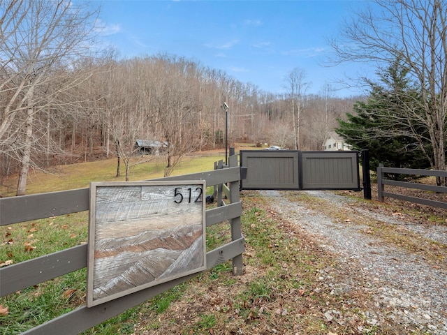 view of street featuring driveway and a gate