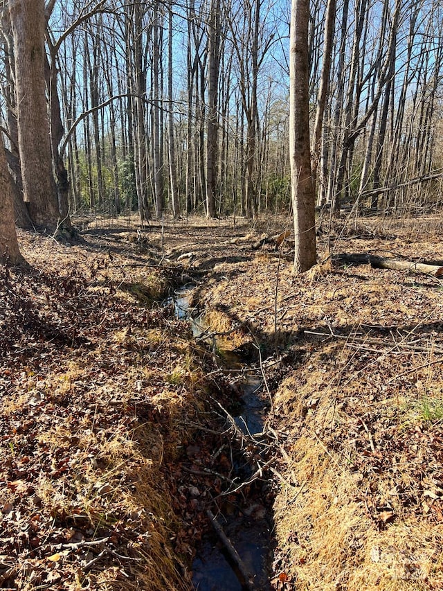 view of local wilderness