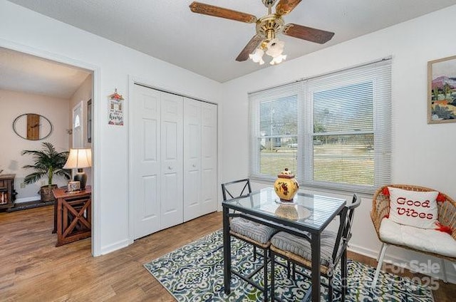 dining room featuring ceiling fan and wood-type flooring