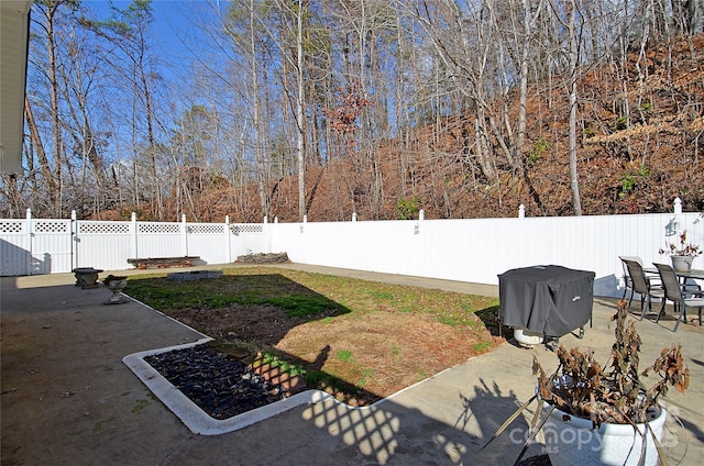 view of yard featuring a patio