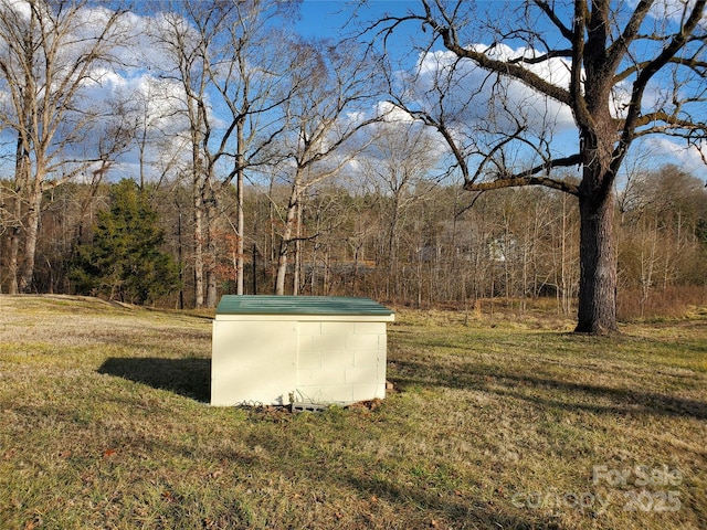 view of yard featuring a shed