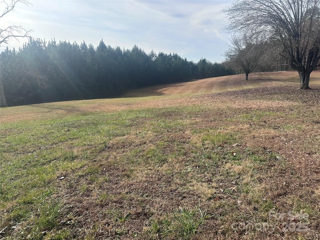 view of yard with a rural view