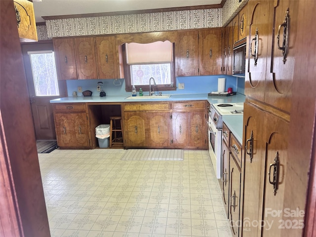 kitchen with sink, a wealth of natural light, and electric stove